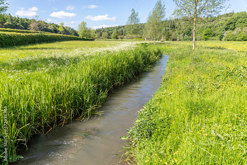 The infant River Coln in June near the Cotswold village of Yanworth, Gloucestershire UK The infant River Coln in June near the Cotswold village of Yanworth, Gloucestershire UK