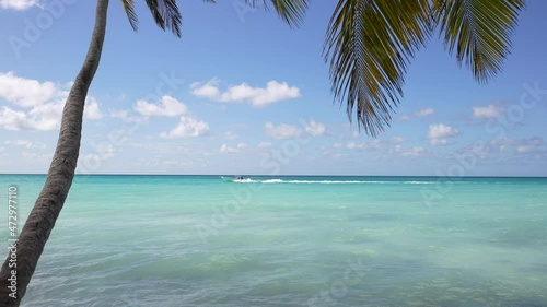Colorful catamaran on azure water against blue sky and exotic palm trees, Caribbean Islands