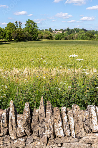 A view acroos a field of barley towards Stowell Park near the Cotswold village of Yanworth, Gloucestershire UK photo