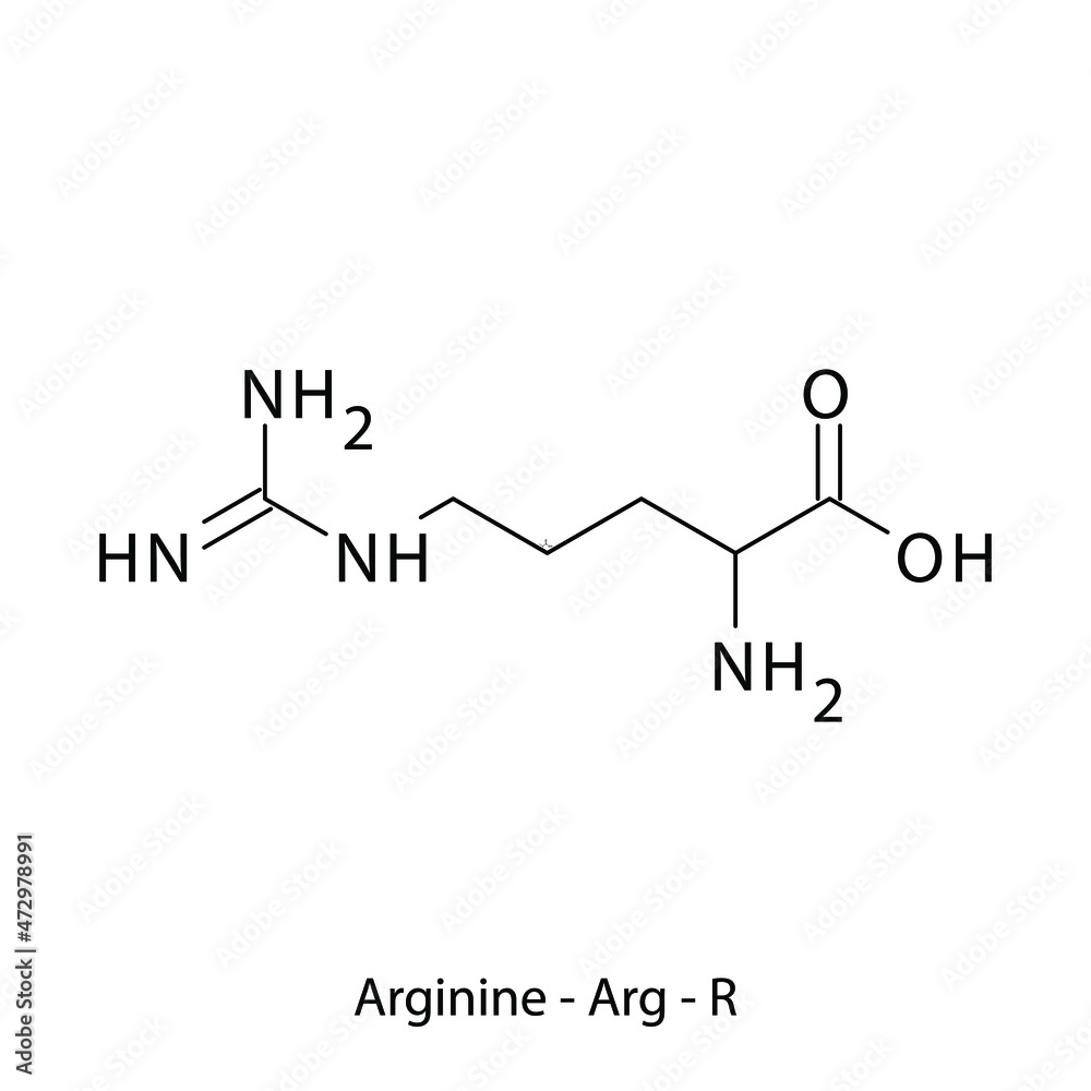 Arginine Amino Acid Structure