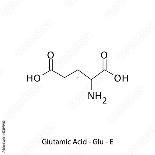 Glutamic acid - Glu - E - Non Essential Amino Acid simple skeletal formula and structure vector illustration, EPS 10.
