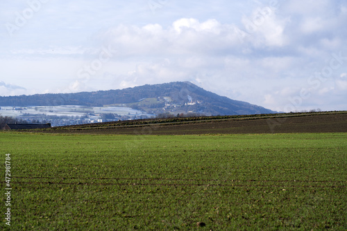 Beautiful scenic landscape with agricultural field in the foreground and forest in the background on a cloudy winter day. Photo taken December 3rd, 2021, Oberglatt, Canton Zurich, Switzerland.
