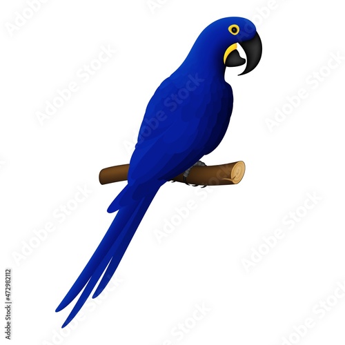 Ara parrot. Macaw. Hyacinth macaw. Realistic 3d vector