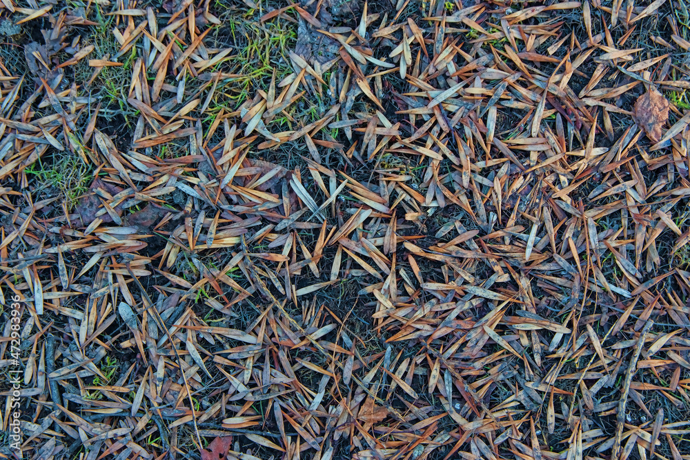 close up of background