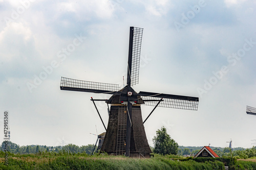 Windmills by the water with greenery in Kinderdijk, Netherlands