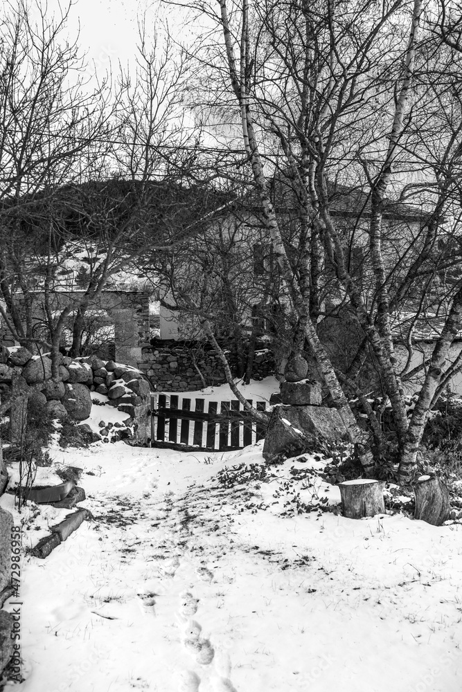Fototapeta premium wooden bridge in winter