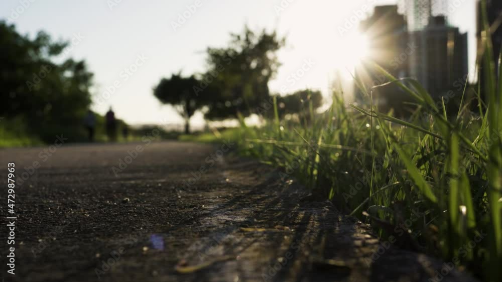 At dusk, the trail in the park. There are green plants on both sides of the road. People are walking and riding bicycles. At dusk, the trail in the park. There are green plants on both sides of the road. People are walking and riding bicycles.