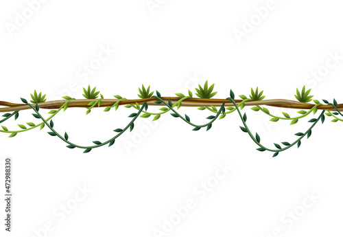 Liana stem border. Rainforest green vine or twisted plant hanging on branch. Cartoon jungle creeper. Tropical nature plant