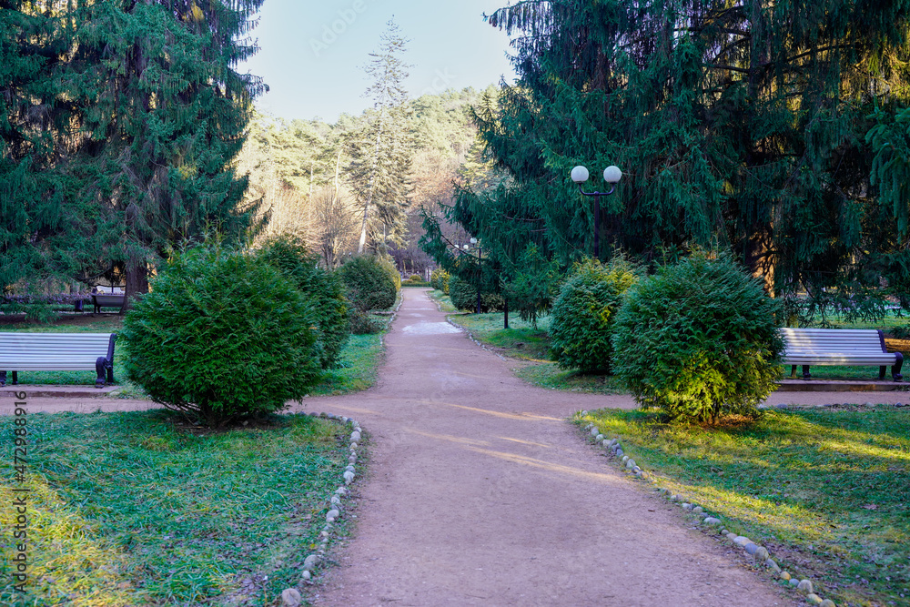 Obraz premium An empty park and no people. Coronavirus has devastated cities