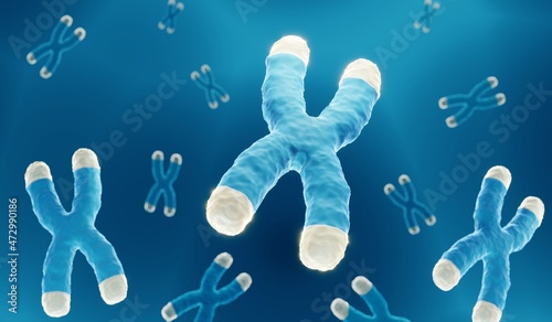 Chromosomes carrieng the dna with highlighted telomeres (yellow) photo