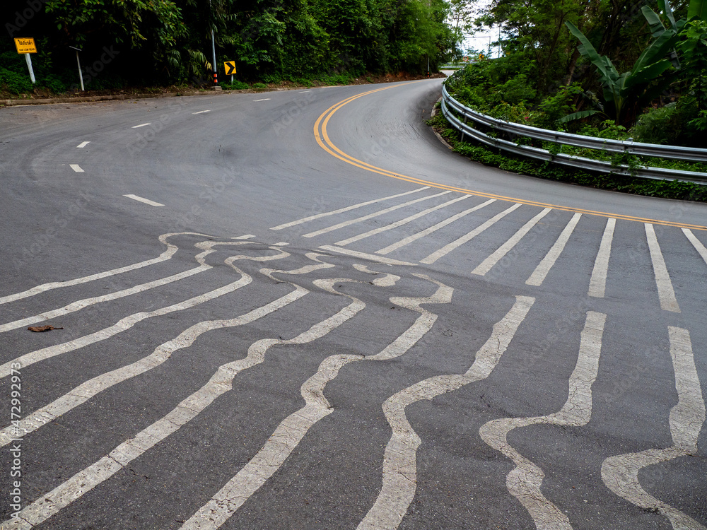 Obraz premium The gray road with a marking in the summer in the afternoon