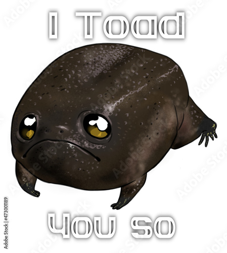 Digital illustration of a cute black rainfrog with the humorous text 
