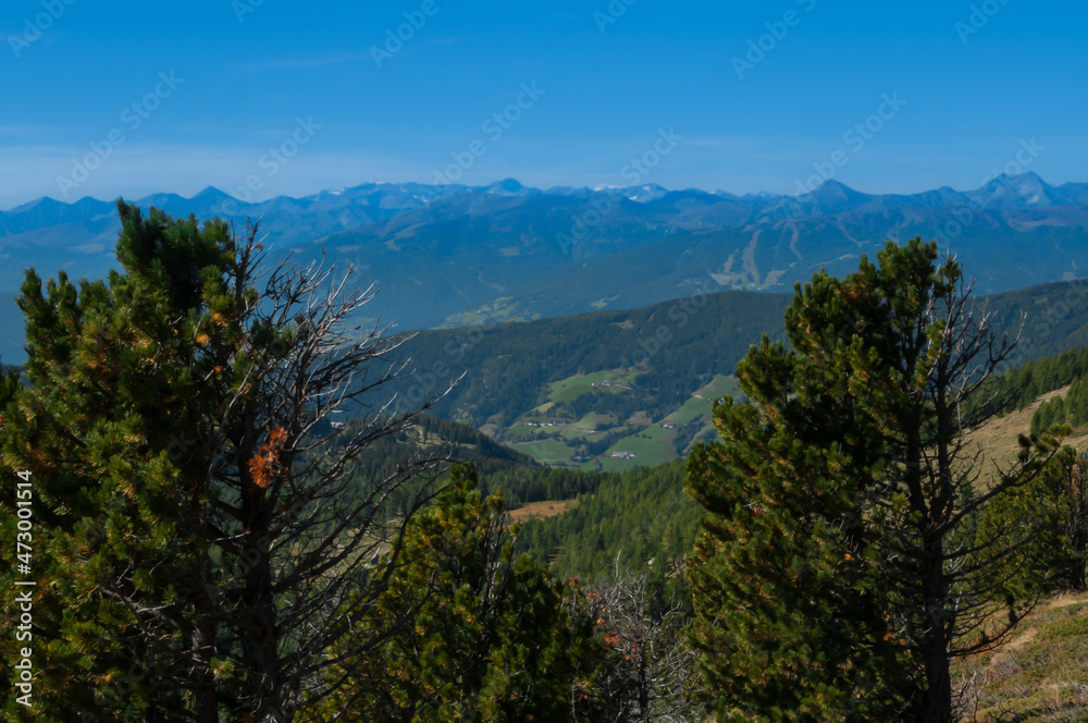 Bergige Landschaft in Österreich.  Blick von einem hochgelegenen Punkt auf  eine Gebirgskette im Vordergrund befinden sich Nadelbäume.  Sonniger Herbsttag