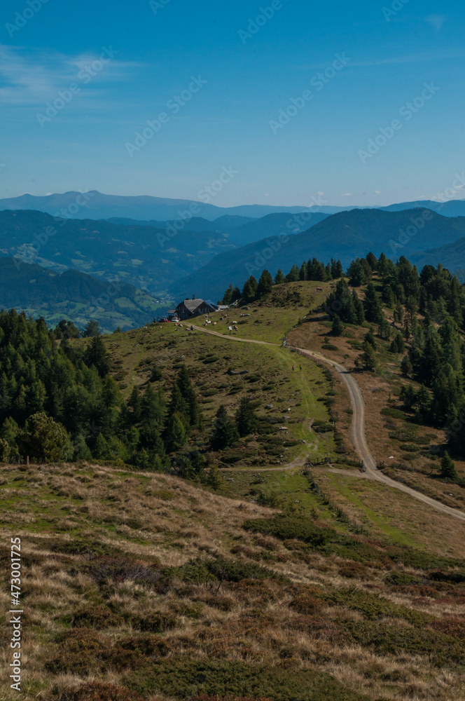 Bergige Landschaft in Österreich . Blick über eine Weide  auf einen Weg, der zu einer Jausenstation führt.  Sonniger Herbsttag