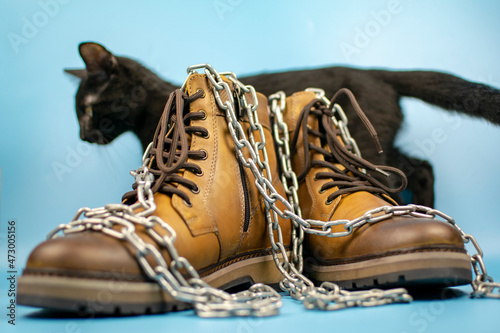 Black cat behind a pair of new shoes on a blue background. Fashionable concept.