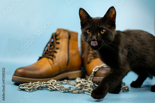 A black cat sits in front of a pair of new boots on a blue background. Fashionable concept.