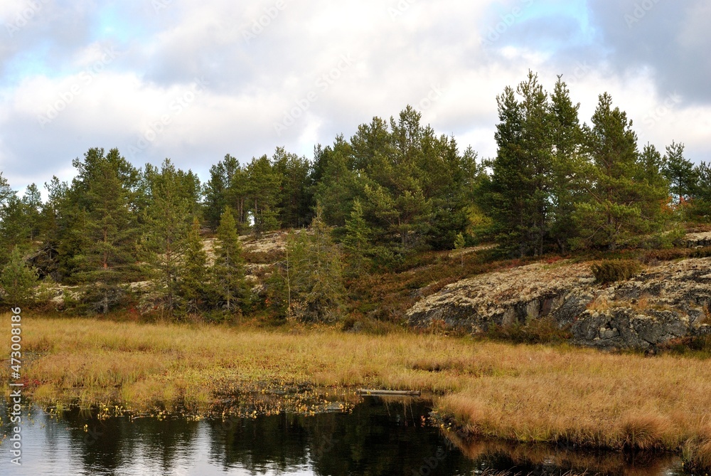 Fishing on wild forest lakes and rivers, nature. Fishing on wild forest lakes and rivers, nature.