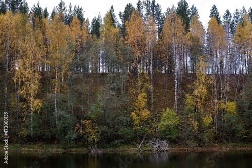 Fishing on wild forest lakes and rivers, nature.