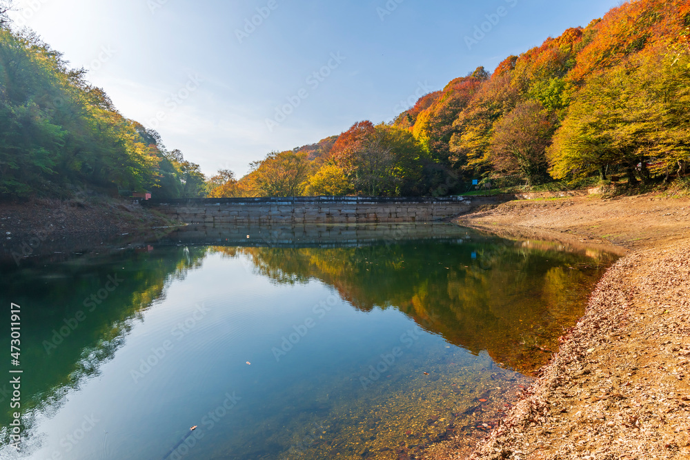 Ayvat Bendi view in Belgrad Forest in Istanbul 