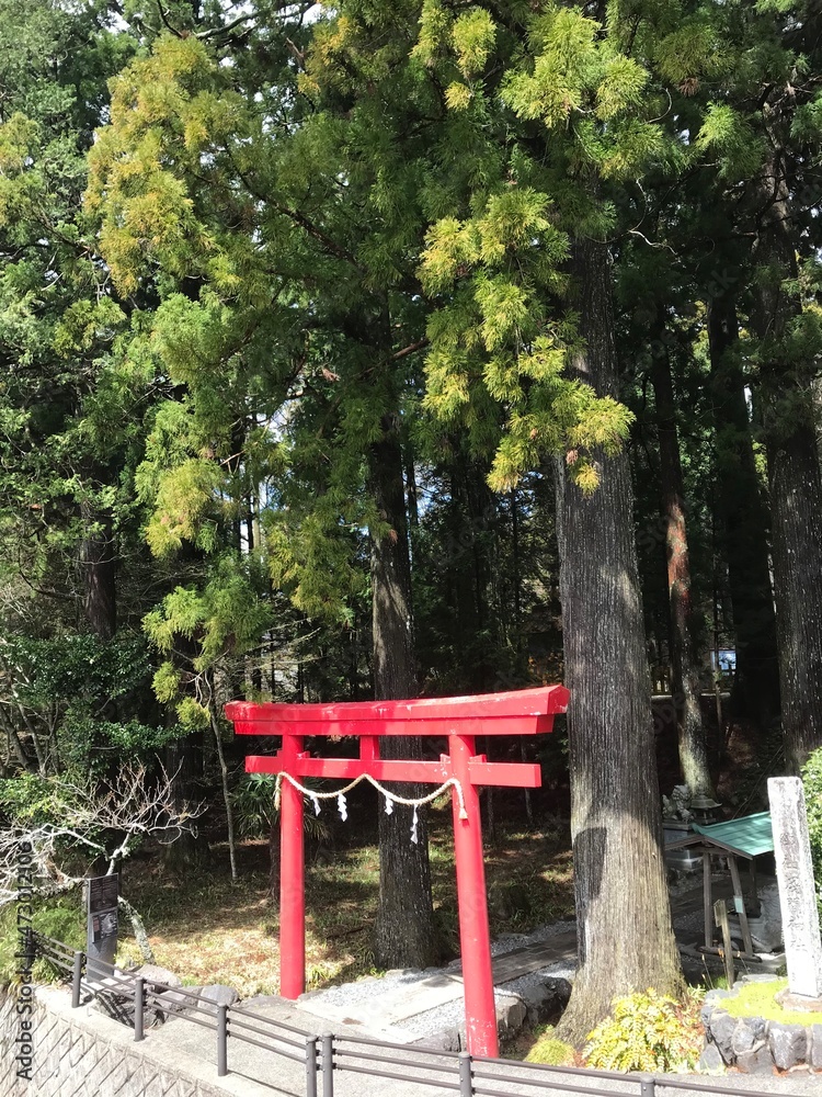 red bench in a garden