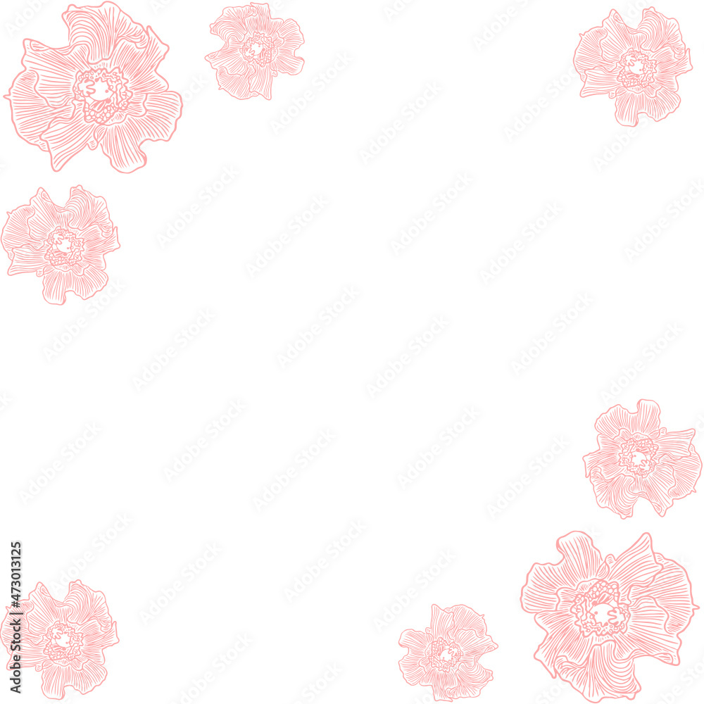 
Pink floral vector frame