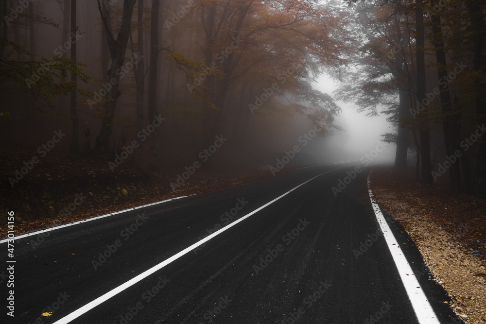 Asphalt road leading to the top of the hill at autumn in dense fog with low visibility. High quality photo