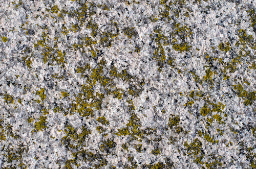 The background of the uniformly crystalline tiles is olive-gray.
