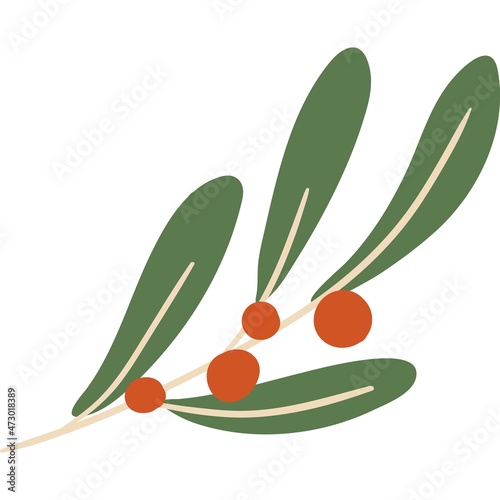 Rowan tree branch icon vector isolated on white