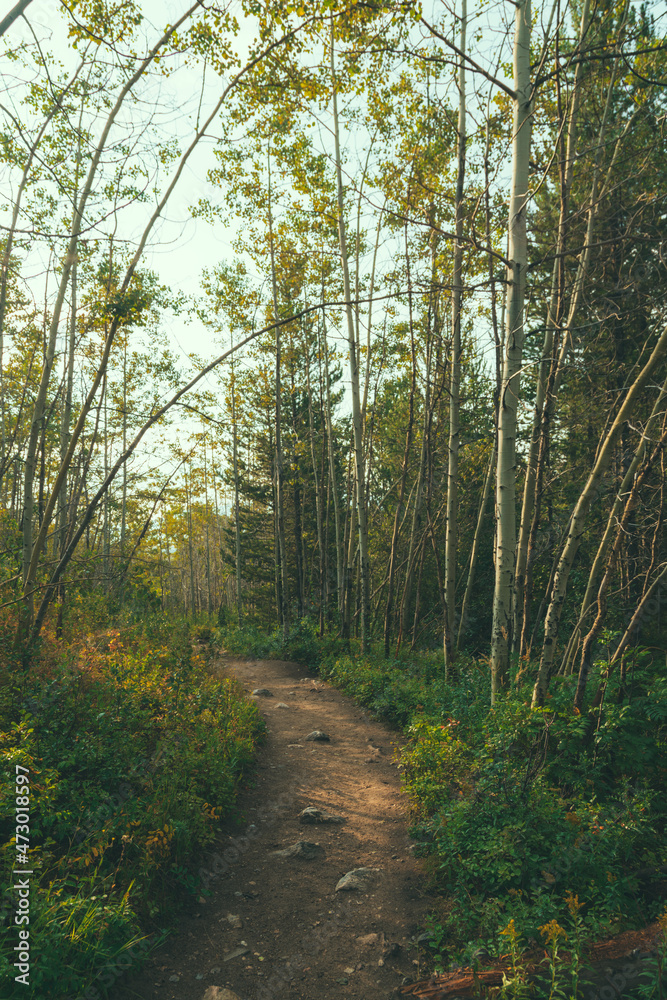 Obraz premium National Park Photography