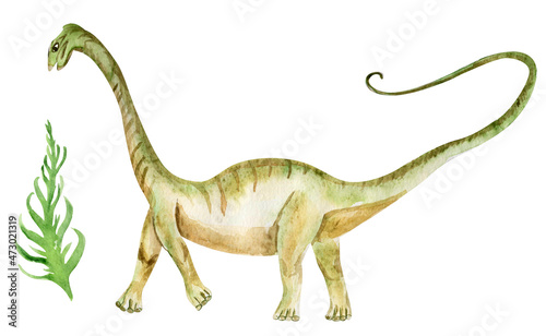 Dinosaur watercolor element. Template for decorating designs and illustrations.