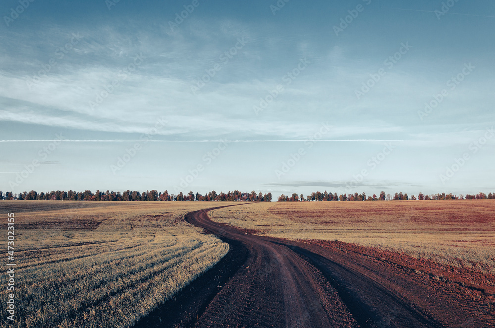 Fototapeta premium Abstract landscape with ground rural road
