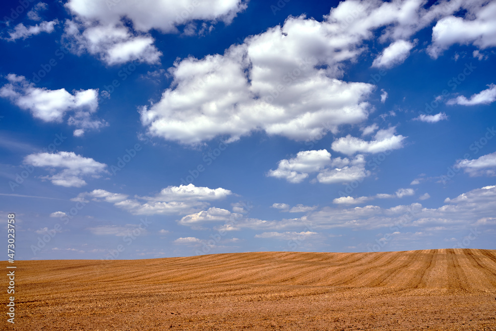 Agricultural landscape with stubble after harvest during summer Agricultural landscape with stubble after harvest during summer
