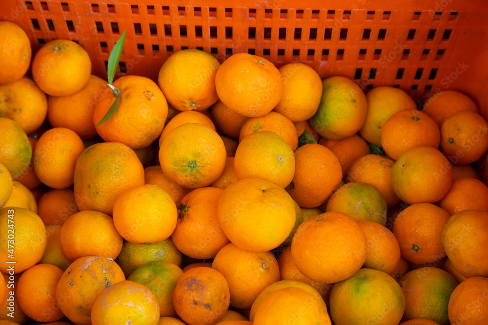 Mandarinas en una caja naranja (cítrico)