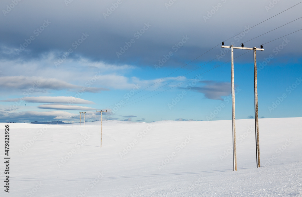 lamp posts in the snow