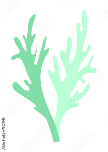 Two sprigs of lichen algae or seaweed, abstract plant for logo