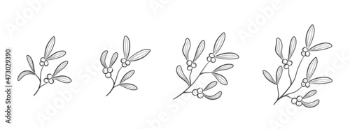 hand drawn mistletoe set. sketchy vector elements for christmas and new year design