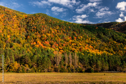 Meadow and mountains of autumn colors