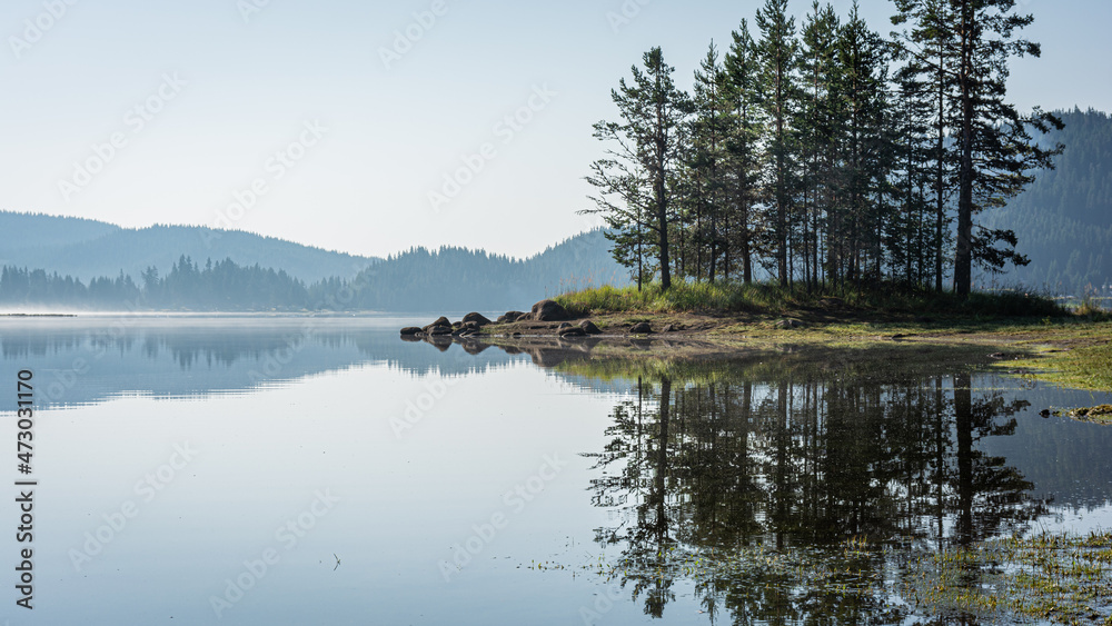 Morning lake in the forest.