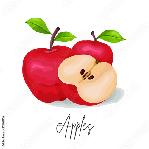 Fresh apples fruit vector illustration. Red  apples, half an apple withgreen leaf on white background.
Bright vector illustration of fresh apples. Health food. photo