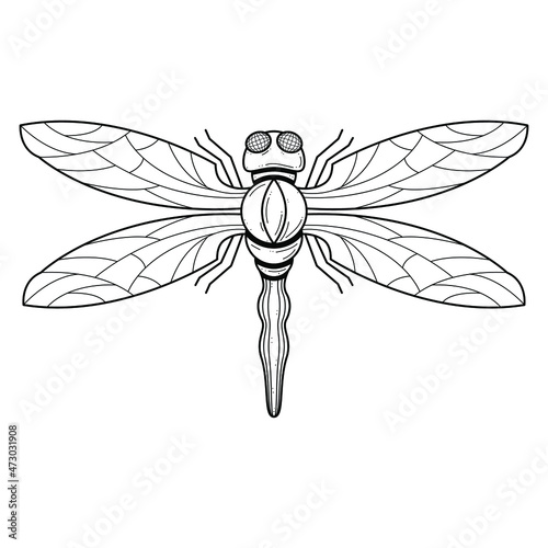 Abstract Black Dragonfly Insect Bug Wings Nature Doodle Outline Vector Design Style Wildlife