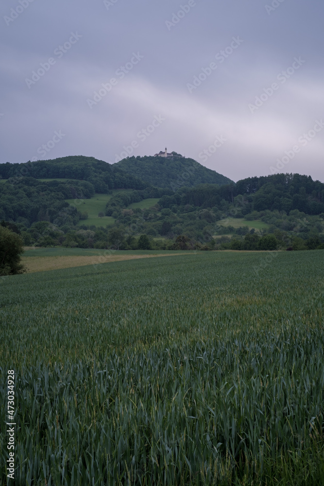 Grüner Abend