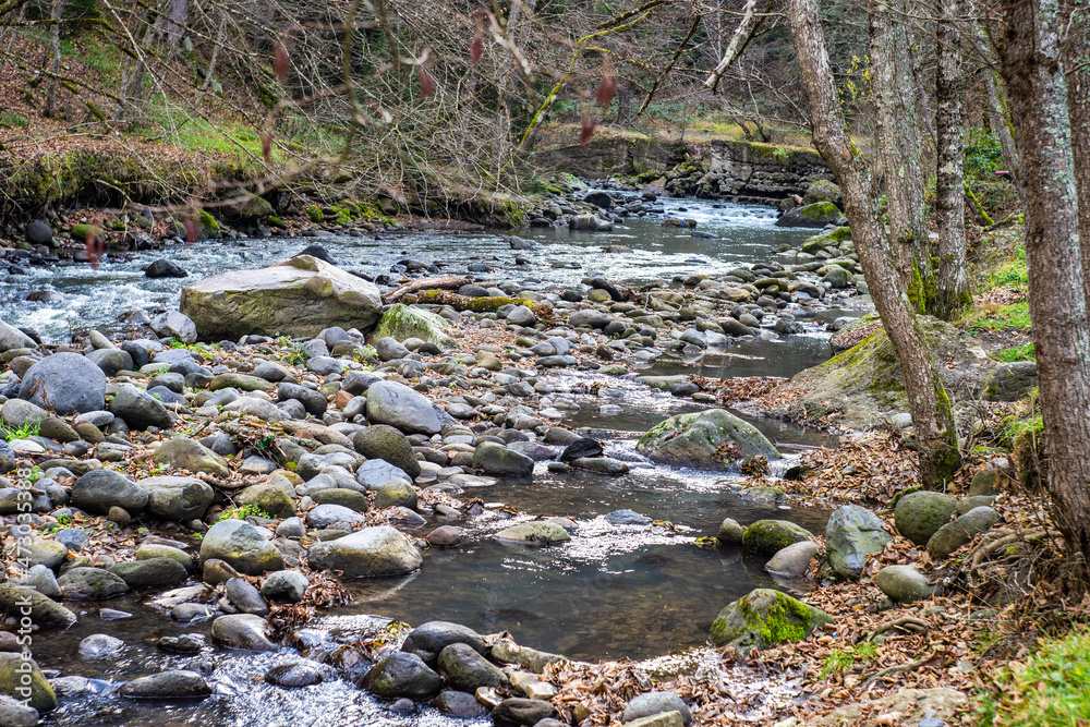 City resort with mineral water springs Borjomi City resort with mineral water springs Borjomi