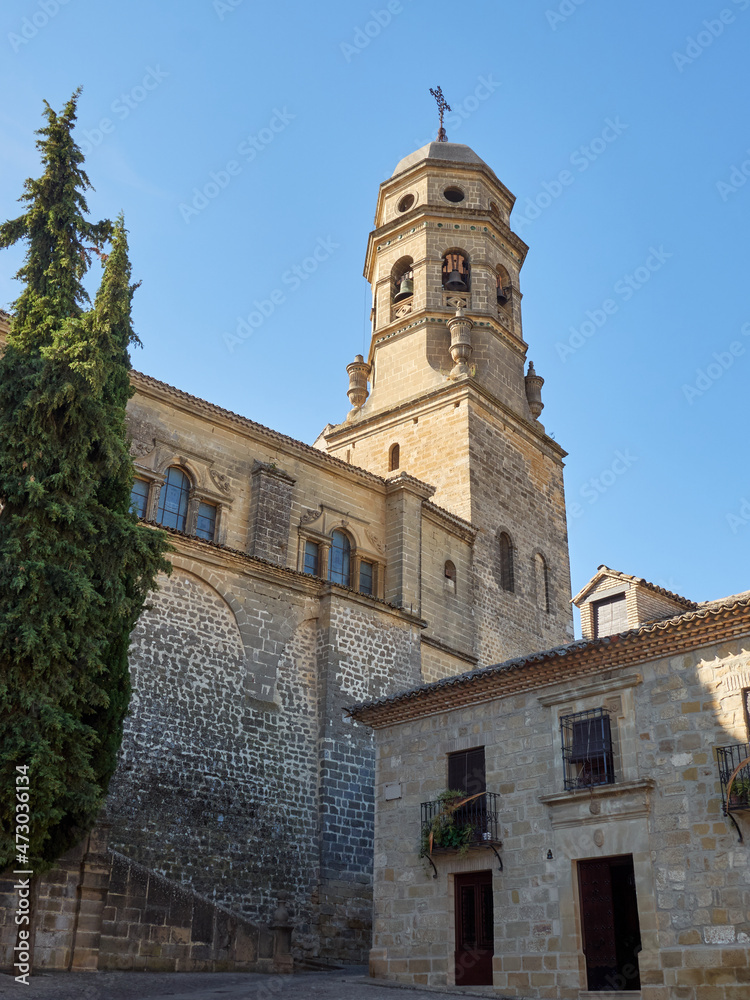 Bell tower of the Cathedral of Baeza, a village in the province of Jaén declared UNESCO World Heritage site. Andalusia, Spain, Europe