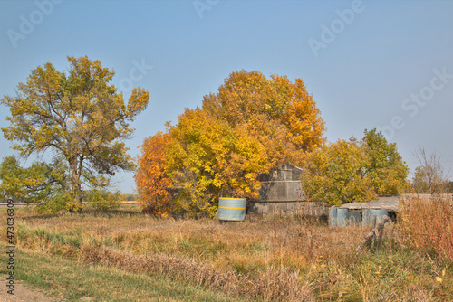 Fall scenery provides beautiful landscape on the farms