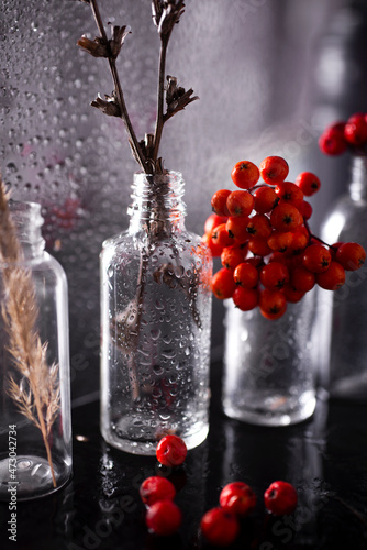 Autumn still life with clusters of mountain ash, on a background of glass with water drops