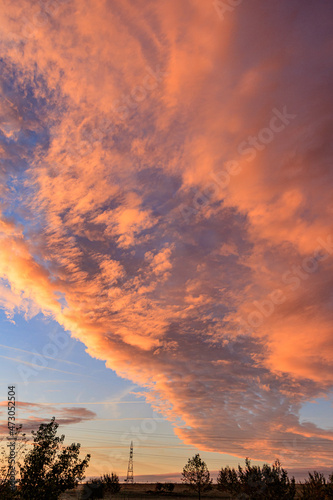 Landscape of orange sky with clouds and trees