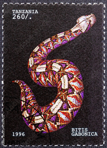 TANZANIA - CIRCA 1996: a stamp printed in Tanzania shows Bitis Gabonica, Snake, circa 1996