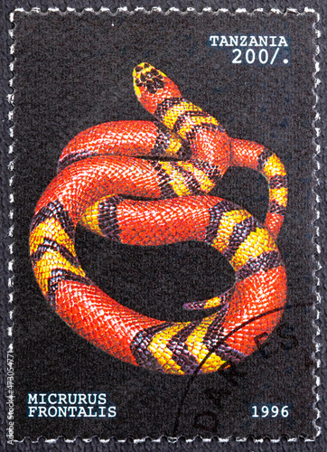 TANZANIA - CIRCA 1996: a stamp printed in Tanzania shows Micrurus frontalis, Snake, circa 1996