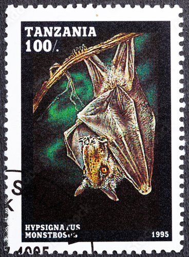 TANZANIA - CIRCA 1995: A stamp printed in Tanzania shows the hammer-headed bat Hypsignathus monstrosus , circa 1995 photo