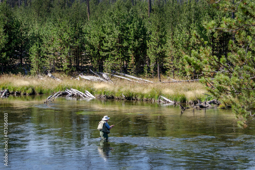 Older man fly fishing in wyoming USA